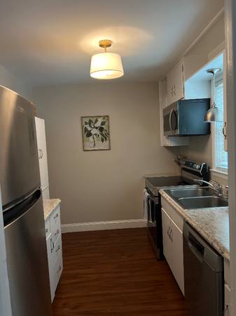 $3000.00 / 3br - 1350ft2 - FURNISHED RENTAL- Heart of Mount Pleasant64016106309505121