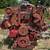 CAT 8 Cylinders Engine 1 thumbnail