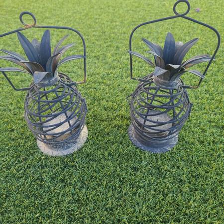 Pineapple lifestyle 1