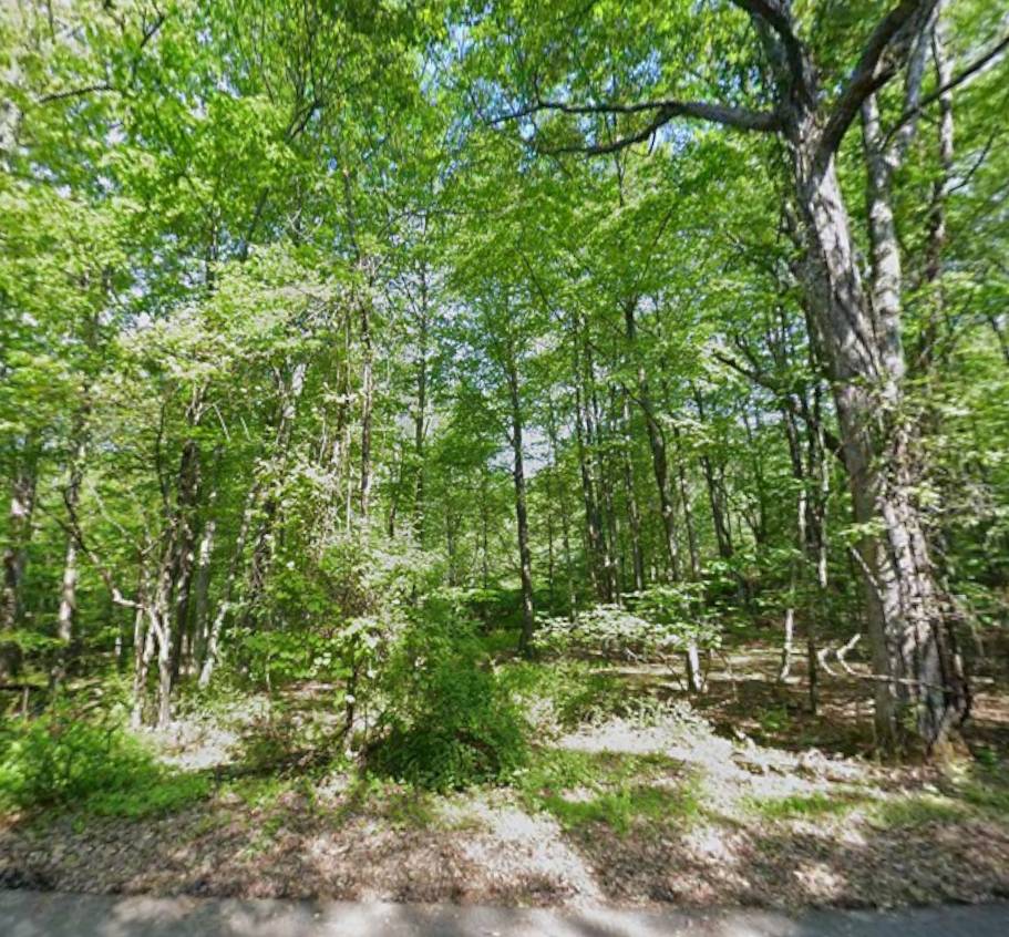 Owner Financing! 1.13 Acres in the Pocono Mountains - Only $14,900