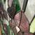 Stained Glass 3 thumbnail