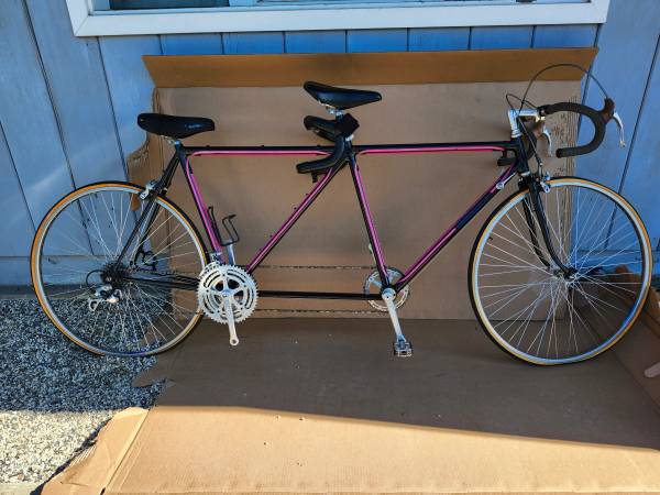 Eisentraut Tandem racing bike 1