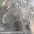 Glass Horse Head Etching 1 thumbnail