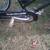 Harley Davidson 3-wheel bicycle 2 thumbnail