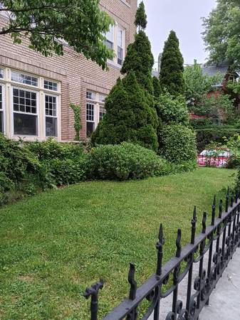 $1,700 / 1br - 650ft2 - Studio in the Belnord (East Rock area)64010332084865122