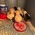 CHICK SPECIAL!!! Chicks & Almost Laying Hens 14 thumbnail