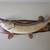 Mounted 38 inch Northern 13 thumbnail