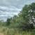 TBD FM 1696 ~ Land for Sale in Iola, TX 8 thumbnail