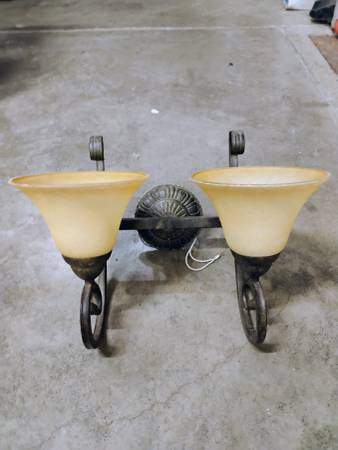 Vanity Light Fixture 1