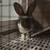 Mini Rex 3 thumbnail