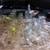 Barn Sale - Antiques, Collectibles and Home Decor 22 thumbnail