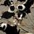 Pointer/Border Collie Puppies- Ready To Go! 16 thumbnail