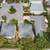 Fast Move-In Available – Text Now  beautiful two-story residence 2 thumbnail