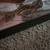Leopard gecko 2 thumbnail