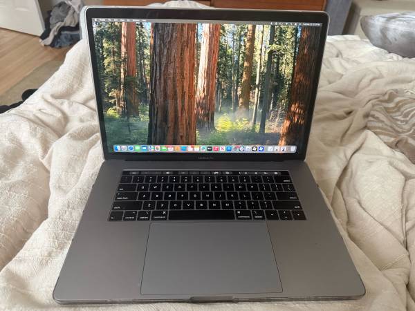 MacBook Pro 15-inch 2019 1