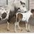 Mini horse 5 thumbnail