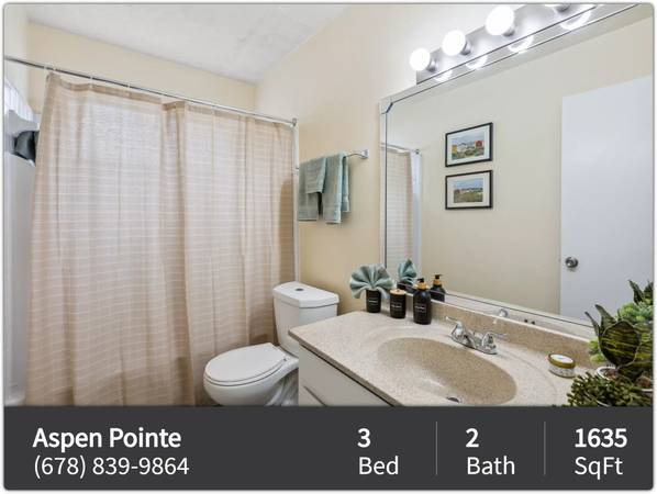 Ready to lease! Beautifully designed 3 bed 2 bath apartment 1