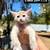 Summer MC Kittens 6 thumbnail