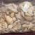 Sea Shells 3 thumbnail