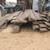 1" x 5.5" trex 20ft / 14ft / 8ft,/ 4ft sizes 8 thumbnail