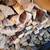 Mixed seasoned firewood 2 thumbnail