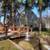 Built-in Shelving, Dishwasher, Large Windows, Vaulted Ceilings 5 thumbnail