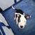 Puppies 11 thumbnail