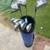 Adult right handed clubs with bag 1 thumbnail