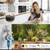 RAINPOINT Sprinkler Timer WiFi Water Timer, Smart Wireless Hose Faucet 9 thumbnail