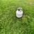 PROPANE TANK GRILL SIZE, FULL 2 thumbnail