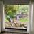 Large backyard, 2 bath house, 3 bed, garage  trees, WD, quiet 9 thumbnail