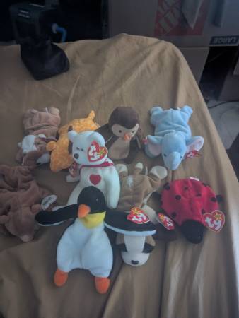 Big bag of beanie babies 1