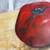 Oil on Masonite Painting, Signed Whitey, Two Tomatoes, Framed 3 thumbnail