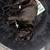 Lost dog 2 thumbnail