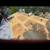 Handy Andy Home Repairs Roofing Repairs Gutter repairs *Specials*2025 15 thumbnail