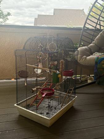 Jilgueros y jaula por $230 (Colorado Springs)
