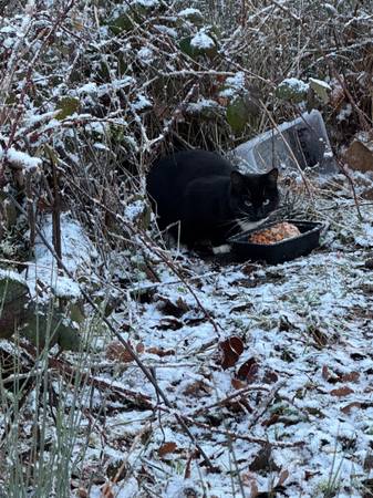 Need animal loving people (roseburg)63740964479491122