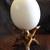 Ostrich egg shells for decoration 1 thumbnail