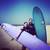 Surfing - Skateboarding lessons- (surfboards -skateboards -wetsuits) 16 thumbnail