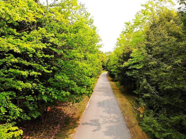 $92,400 / 58370ft2 - Wooded 1.34 acres just minutes from Harbor Springs! (Harbor Springs)64037895596417122