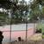 Forested cottage in North Berkeley Hills with pool and tennis access 22 thumbnail