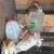 Rabbits 10 thumbnail
