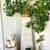 Charming Spanish Style Bungalow 4 thumbnail