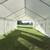 Canopy Rental 3 thumbnail