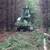 HTL 250/GT Hahn harvester logging tree processor 5 thumbnail