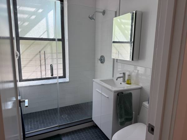 $100 1 bedroom apt for sublet 11/9-11/15 in crown heights64212269243137124