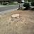 Carrillo's Stump Grinding**same day service available. 8 thumbnail