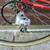 Vintage Trek 400 12Speed Road Bike 22 Inch Bicycle 17 thumbnail