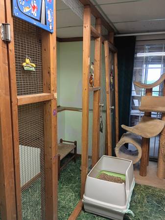 Cages 1