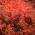 Quail chicks 2 thumbnail